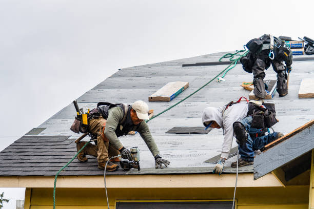 Professional Roof Replacement technician working in Chappell Hill, TX